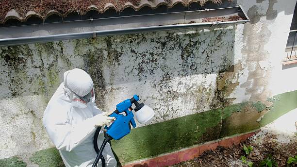 Top rated local Mold Removal specialists in Danville, KY